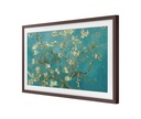 Cadre The Frame 43'' 2021 Noyer