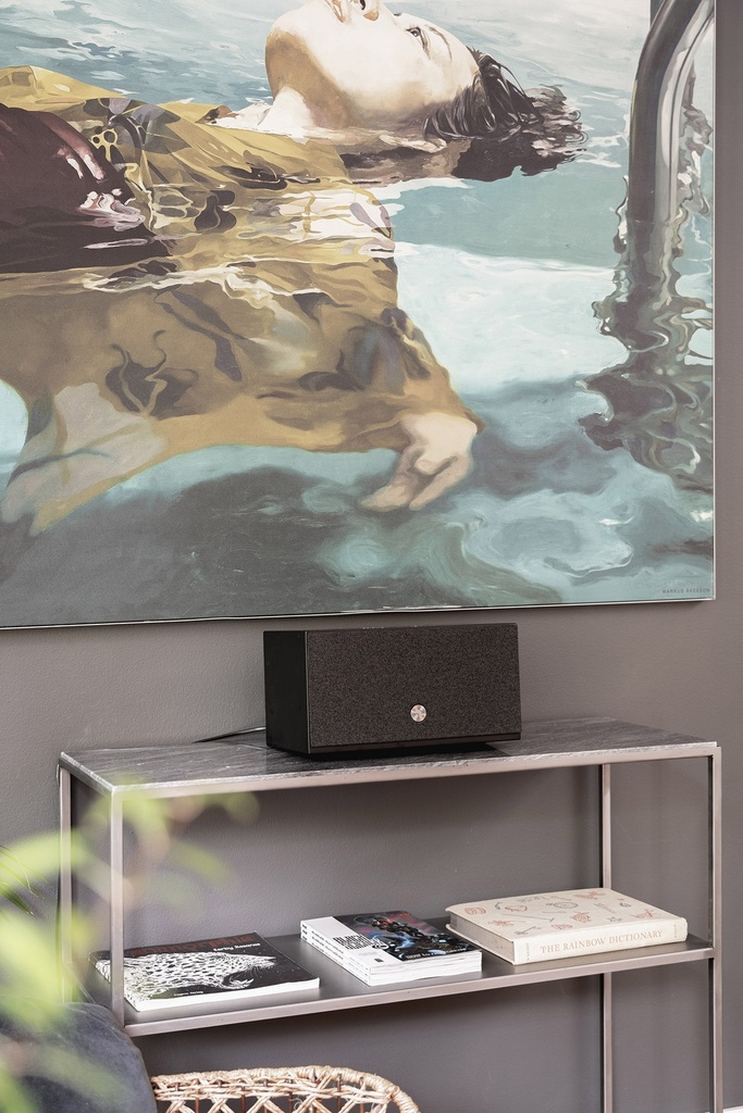 C10 MkII Enceinte multiroom compacte sans fil Wifi Airplay2 - Bluetooth