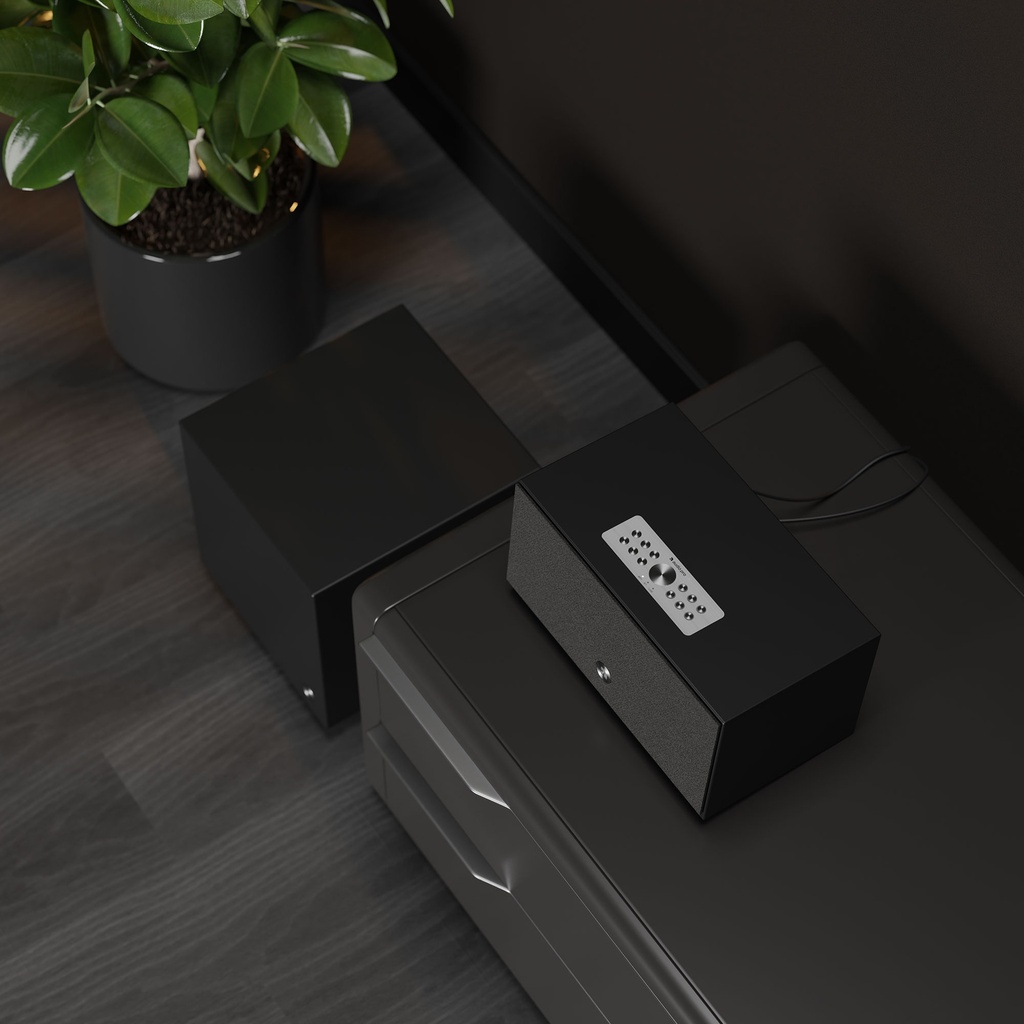 C10 MkII Enceinte multiroom compacte sans fil Wifi Airplay2 - Bluetooth