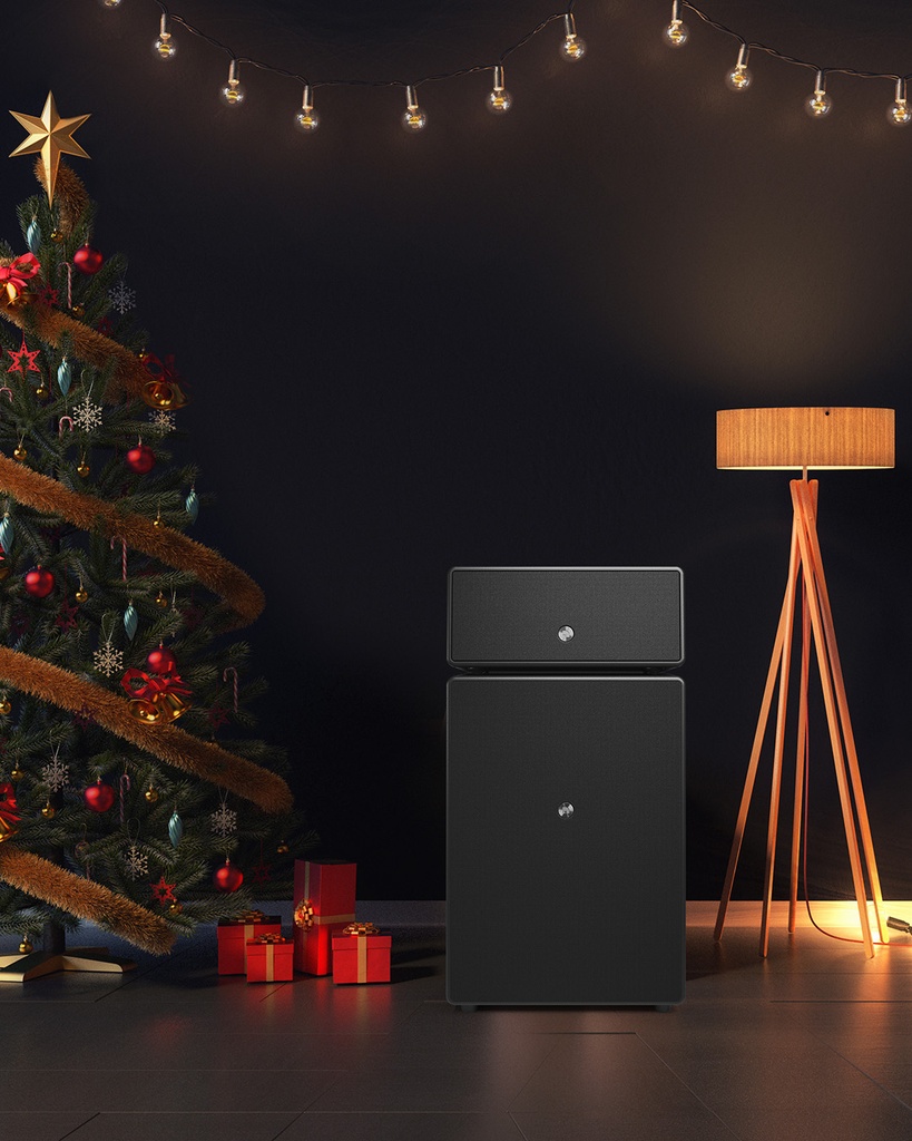 Drumfire II Enceinte multiroom sans fil Wifi Airplay2 Bluetooth