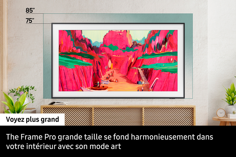 TV The Frame 2025 NeoQLED Serie F