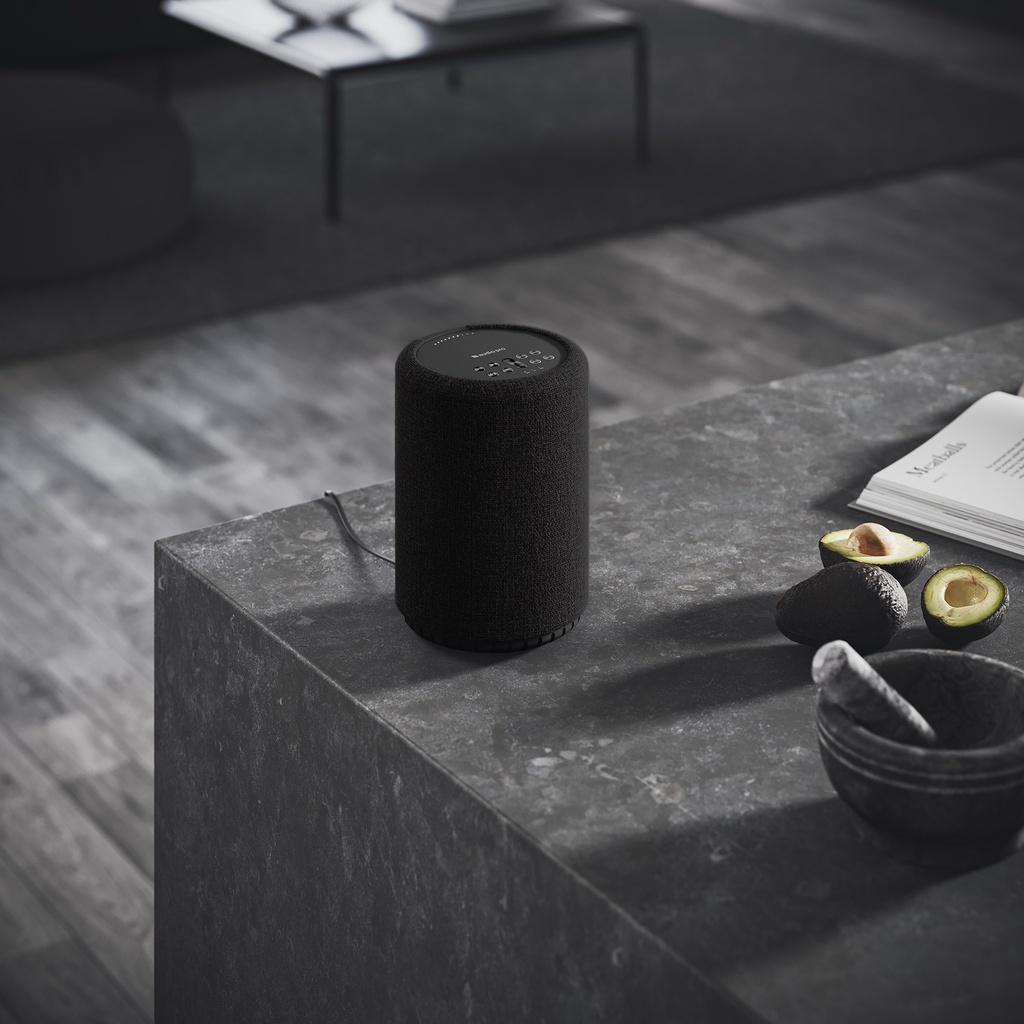 A10 MkII Enceinte multiroom sans fil WiFi - AirPlay2 Google Cast