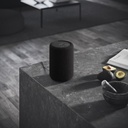 A10 MkII Enceinte multiroom sans fil WiFi - AirPlay2 Google Cast
