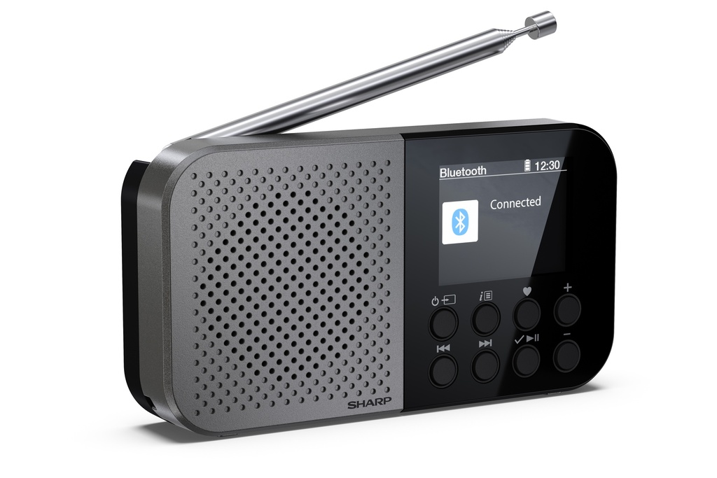 Radio numérique portable de poche OSAKA - Storm Grey