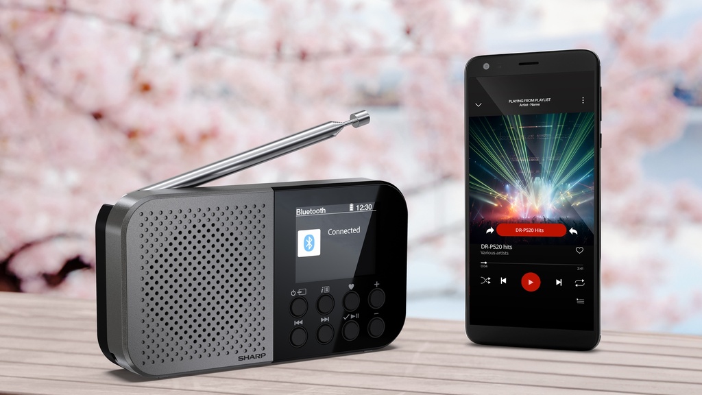 Radio numérique portable de poche OSAKA - Storm Grey