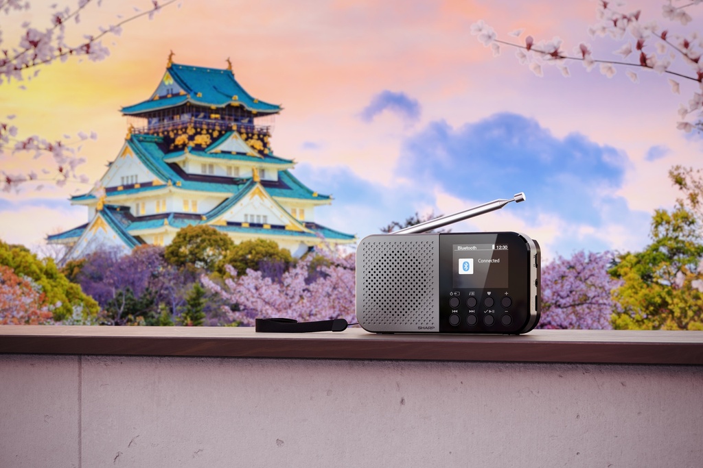 Radio numérique portable de poche OSAKA - Storm Grey