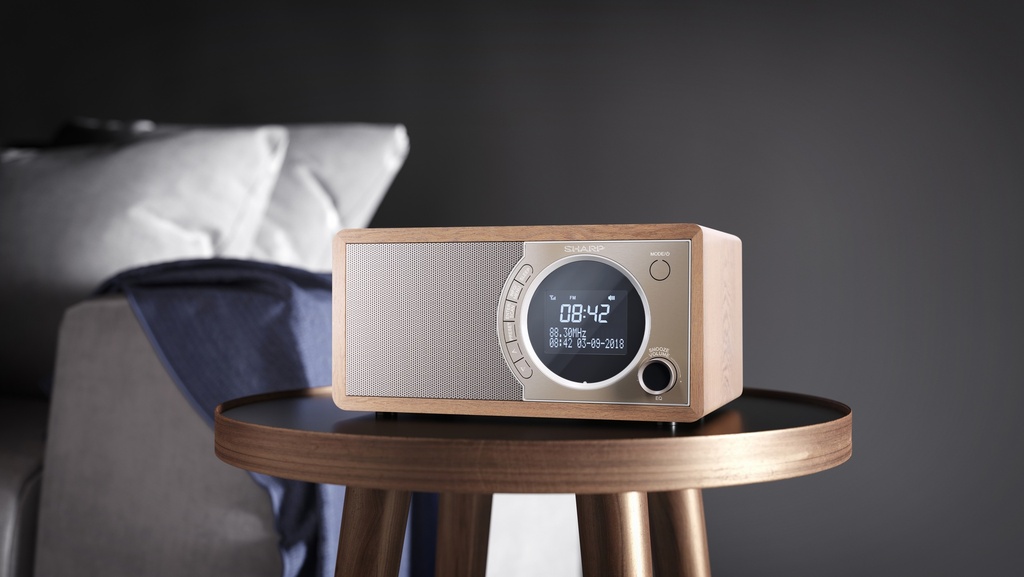 Radio numérique Marron