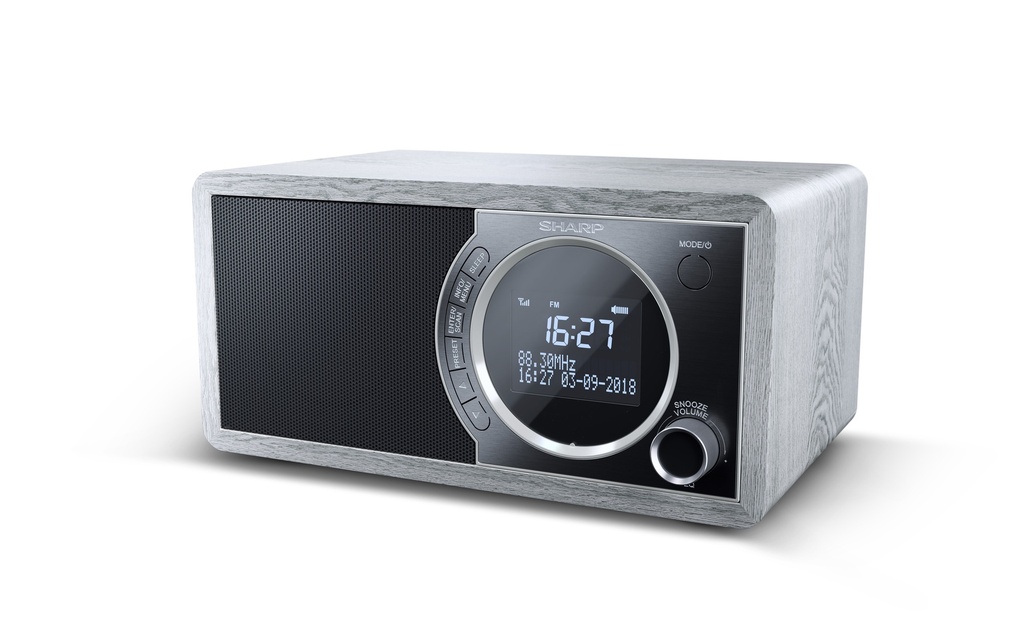 Radio numérique Grise