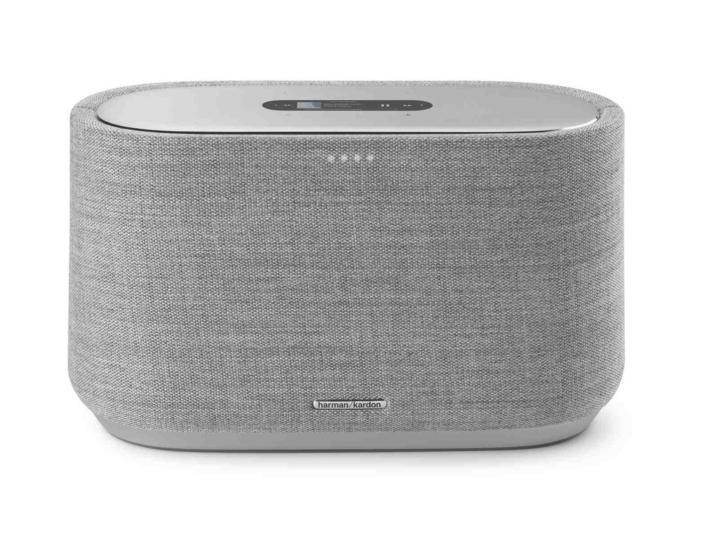 [HKCITATION300GRYEU] Citation 300 Gris