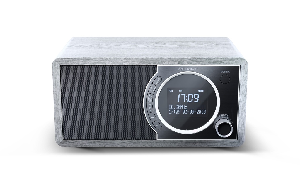 [DR-450(GR)] Radio numérique Grise